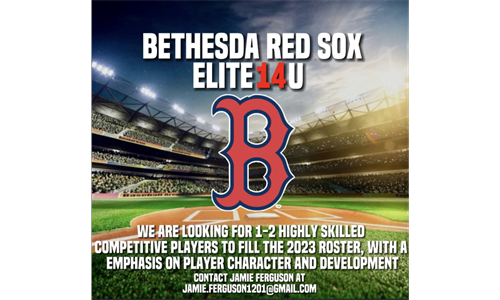 Bethesda 14u Red Socks